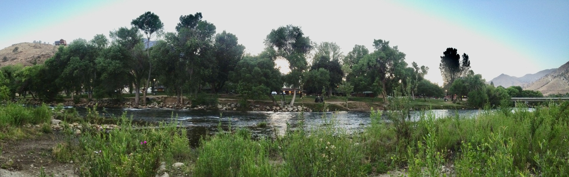 Green shrubs in front of the easy flowing Kern River with trees and hills in the background