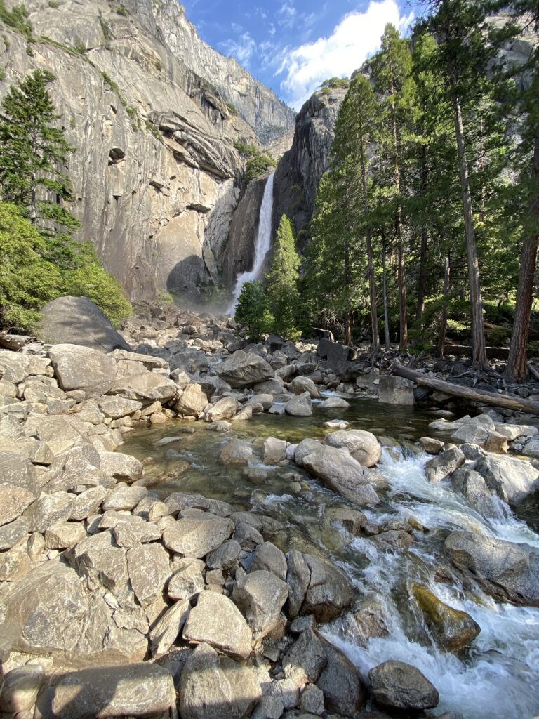 White water rushing over several rocks surrounded by trees and cliffs with lower Yosemite Falls in the background