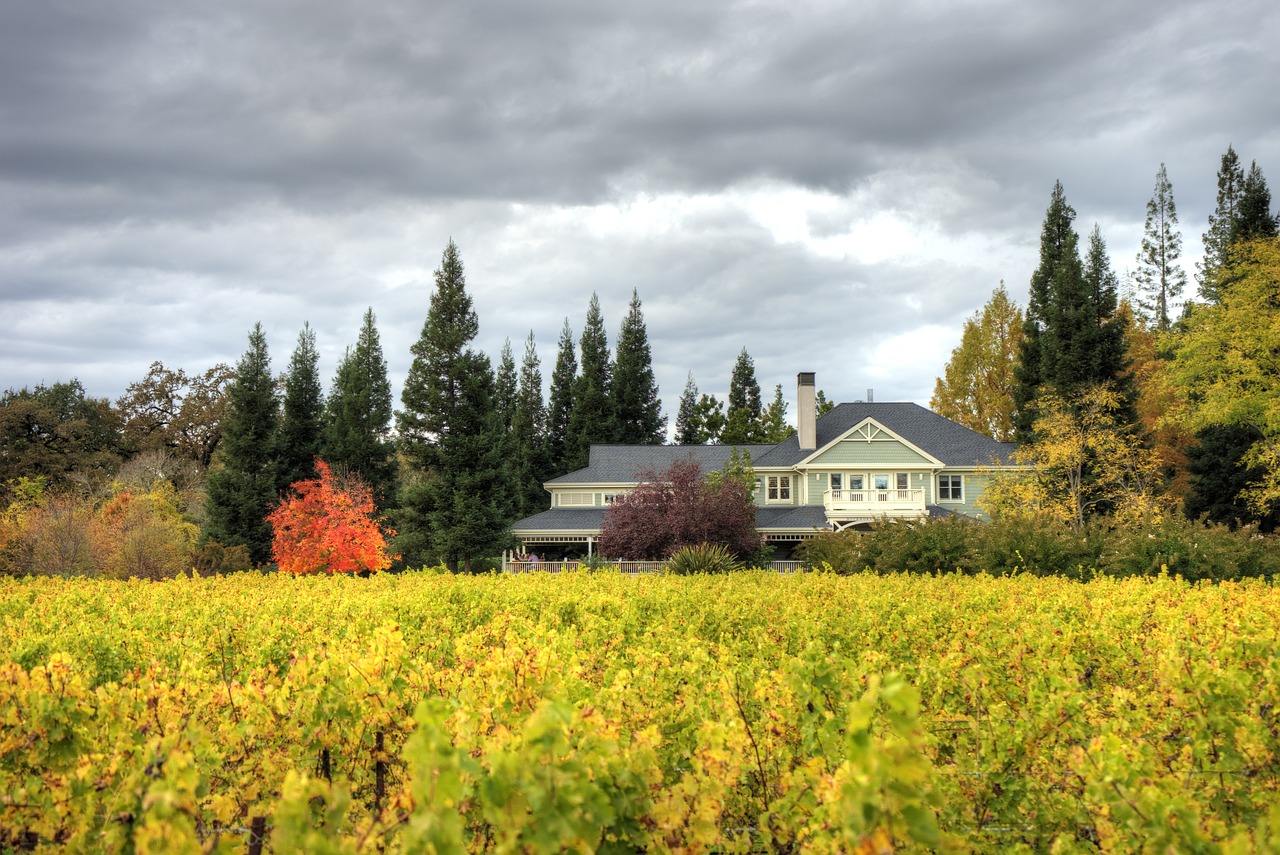 Yellow green vineyard leading up to a two story building surrounding by various trees and cloudy sky