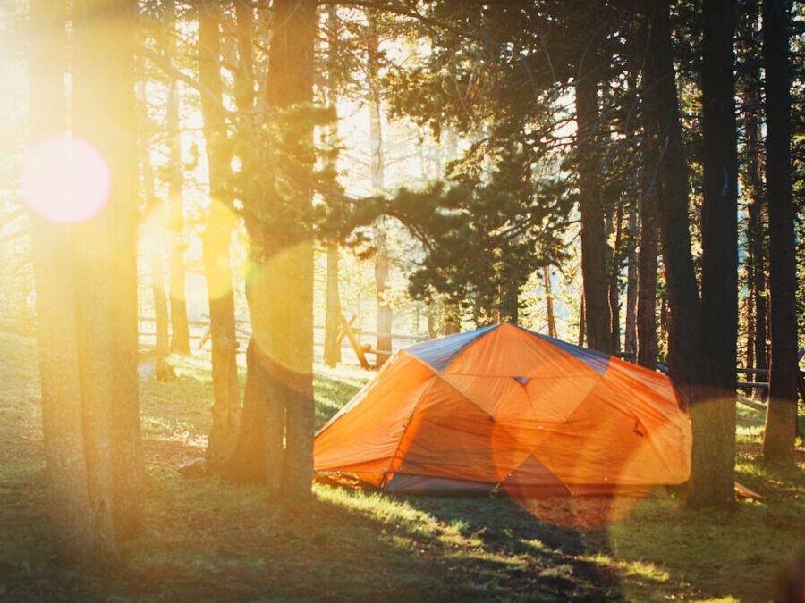 Orange and blue camping tent pitched in dense forest with sunlight shining on the tent through the trees.