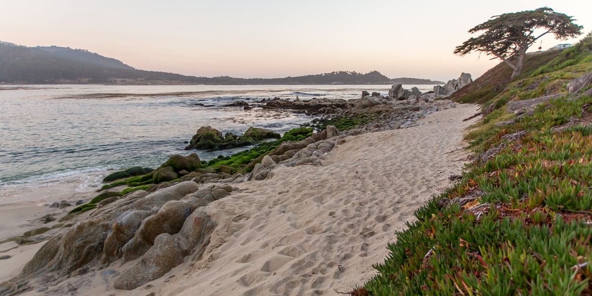 Green beach succulents leading to soft sand and smooth rocks on the ocean shoreline with hills in the background