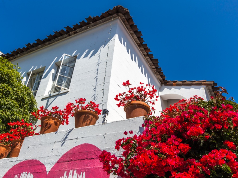 Upward view of white brick building with red potted flowers and red flower tree with blue sky. Link to Carmel-By-The-Sea page