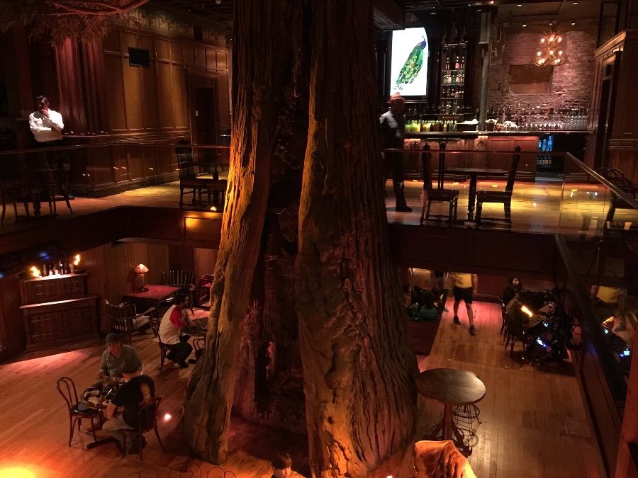 Fake Sequoia tree in multi-level bar. Dark lighting with people enjoying the bar. Link to Where To Find a Drink on page.