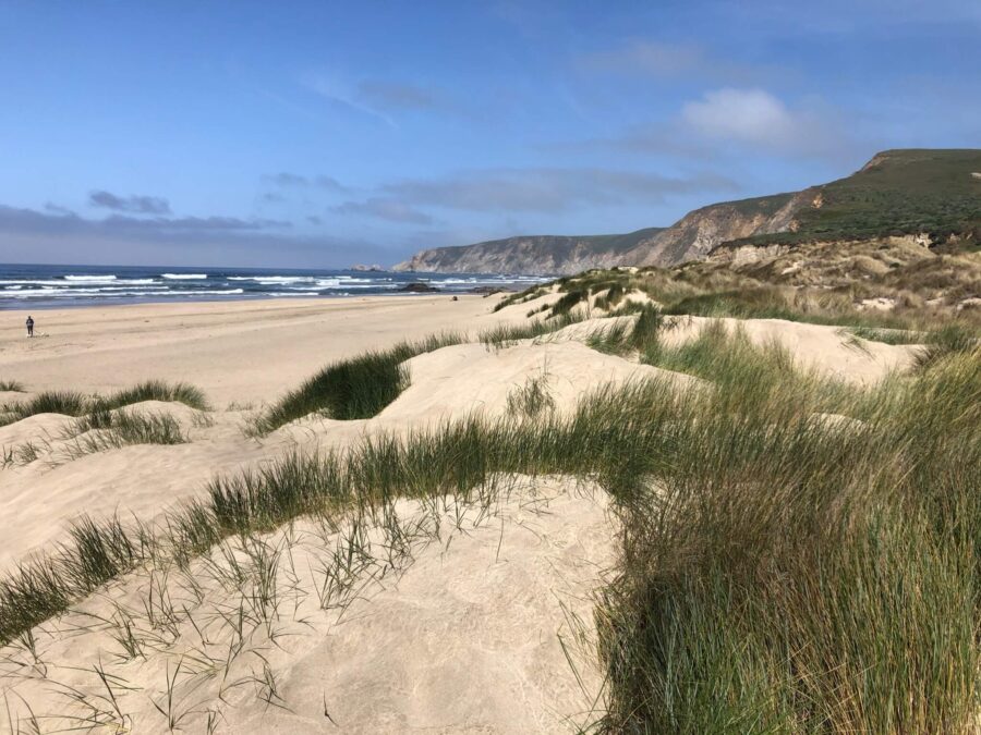 Sand dune with spotty green grass overlooking Point Reyes North Beach and hills.