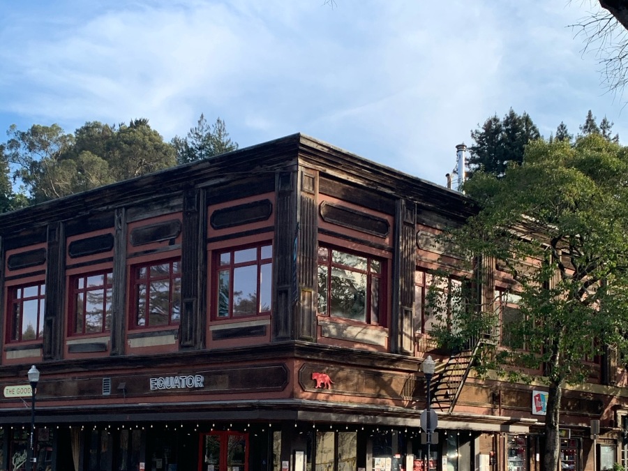 Historic brown two story building with the Equator Coffee cafe surrounded by trees in Mill Valley California.