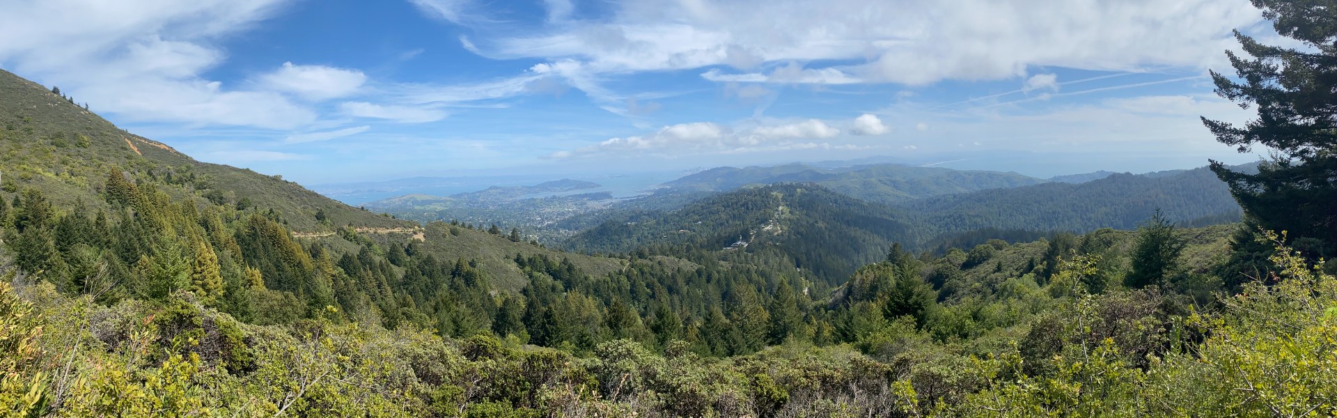 Panoramic view from Mount Tamalpais of green trees and plants on hilltops with blue sky and scattered clouds.