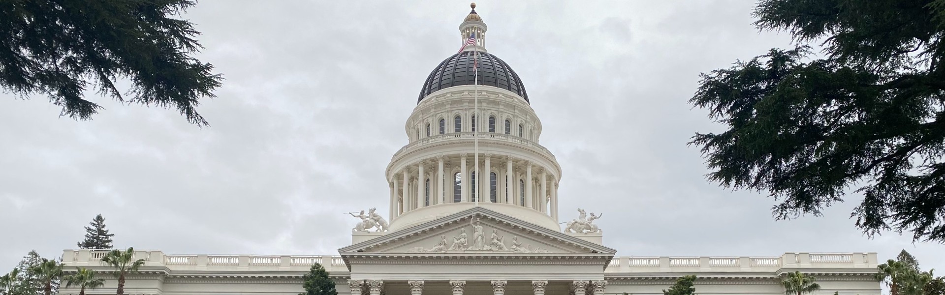 Top dome portion of Sacramento capitol building with trees in foreground and cloudy sky.