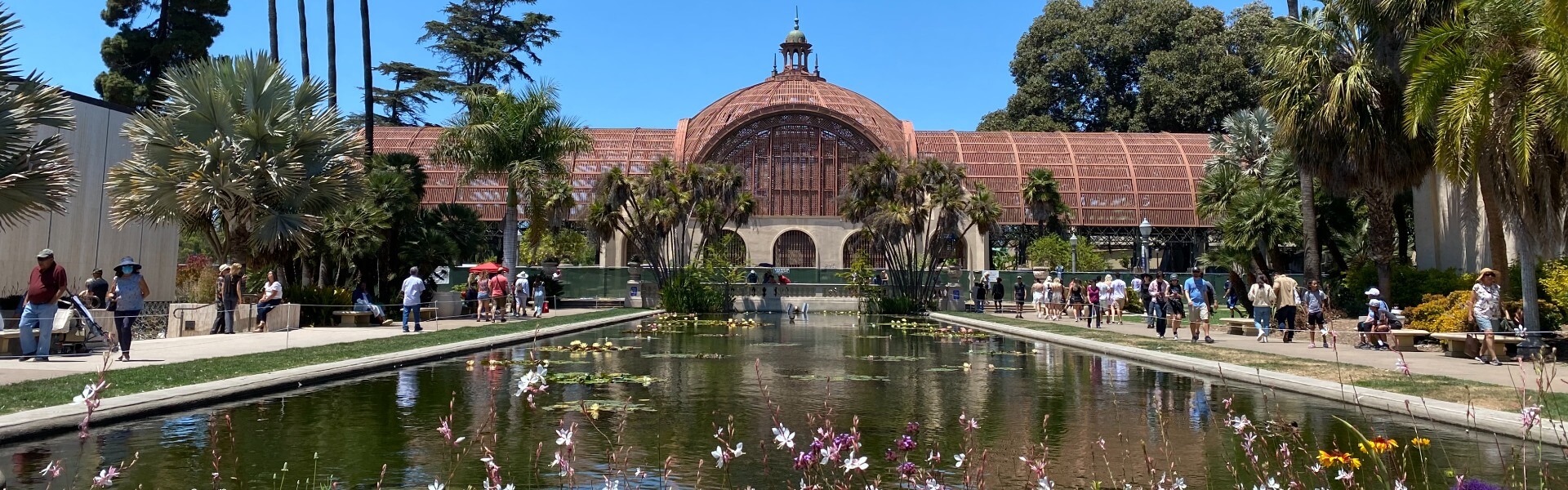 Long green pond with nearby palms and flowers stretching to an elaborate botanical building in Balboa Park in San Diego.