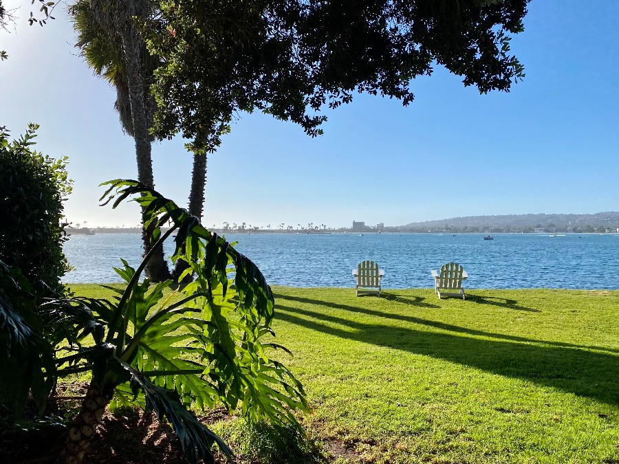 Green plants and grass with empty white chairs facing the San Diego bay. Link to San Diego page.