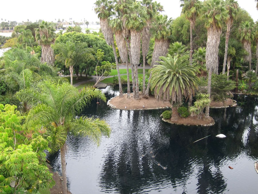 Tropical pond with palm tree islands and lush greenery at Paradise Point hotel San Diego. Link to Where to Stay on page.