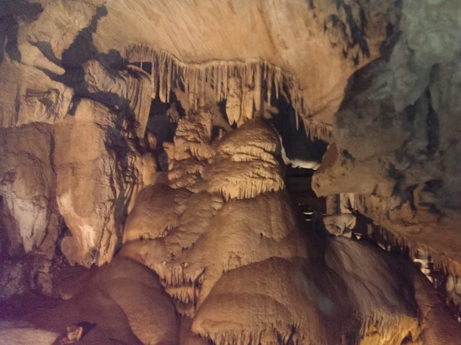 Beige stalactites hanging in the Crystal Cave in Sequoia with dim lighting.