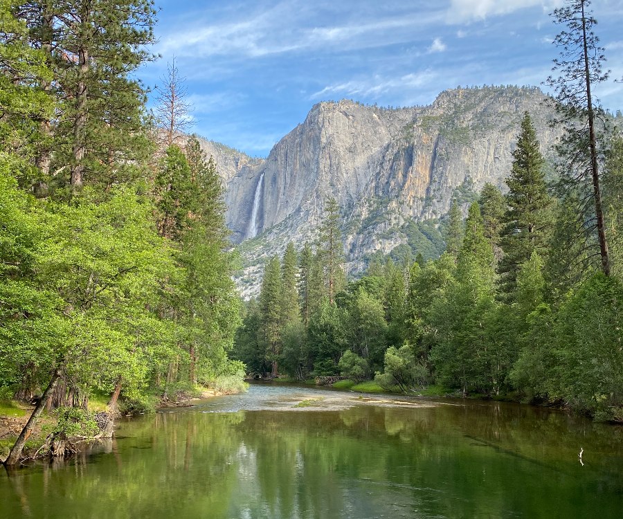 Calm green Merced River surrounded by tall green trees and Yosemite Falls in background. Link to Central California on page.