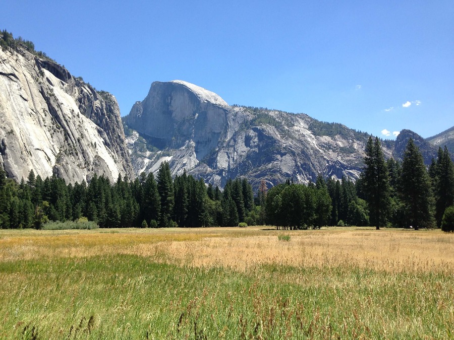 Yosemite Valley view of green meadow with trees and Half Dome mountain further behind. Link to Yosemite Valley on page.