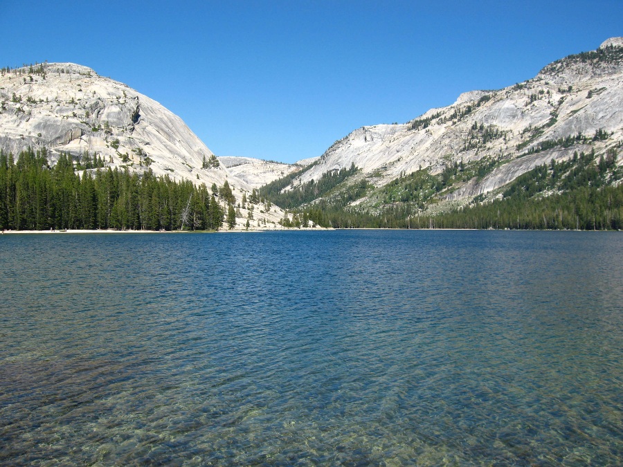 Clear blue Tenaya Lake with tall green trees and stone cliffs in the background at Yosemite National Park.