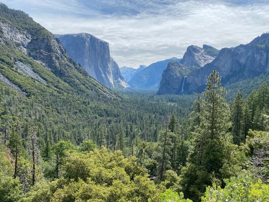 Yosemite Valley with green trees, El Capitan cliffside, Bridalveil Fall, and half dome. Link to Yosemite National Park page.