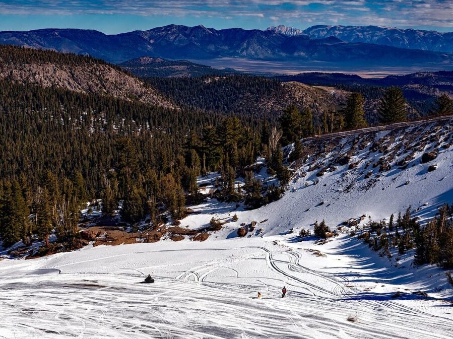 Mountain ski and snowboard run down Mammoth mountain with trees and mountains in background.